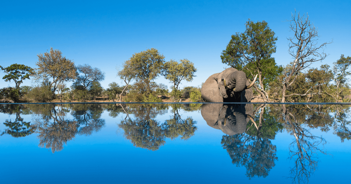 Safari Accommodation: 3 phase from the Sun